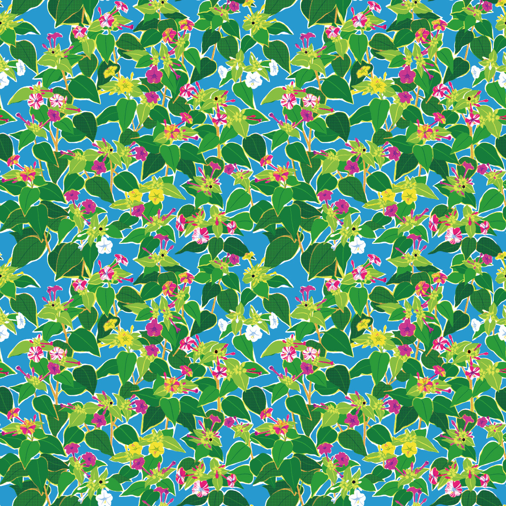 シール壁紙・広瀬順子のオシロイバナ(デザイン)