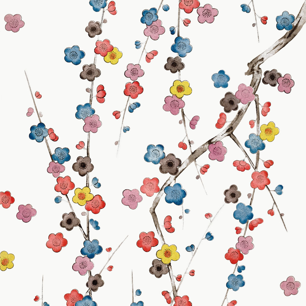 作品の画像