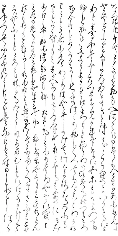 作品の画像
