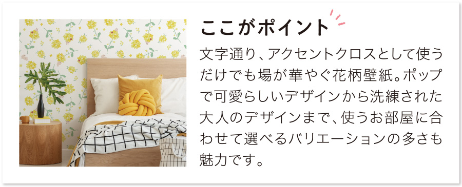 キャンペーン