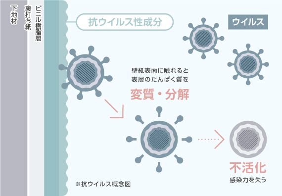 抗ウィルス成分